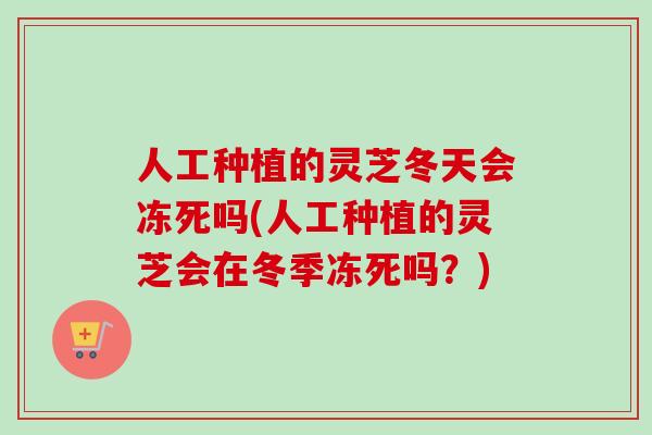人工种植的灵芝冬天会冻死吗(人工种植的灵芝会在冬季冻死吗？)-第1张图片-卓越灵芝孢子粉