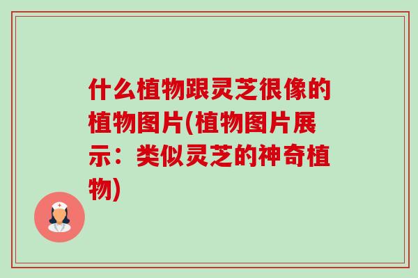 什么植物跟灵芝很像的植物图片(植物图片展示：类似灵芝的神奇植物)-第1张图片-卓越灵芝孢子粉