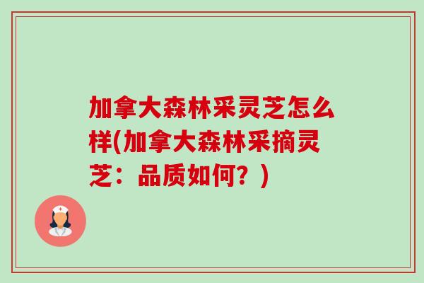 加拿大森林采灵芝怎么样(加拿大森林采摘灵芝:品质如何?)-第1张图片-卓越灵芝孢子粉 加拿大森林采灵芝怎么样(加拿大森林采摘灵芝:品质如何?)-第1张图片-卓越灵芝孢子粉