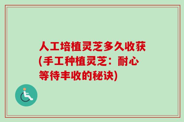 人工培植灵芝多久收获(手工种植灵芝：耐心等待丰收的秘诀)-第1张图片-卓越灵芝孢子粉