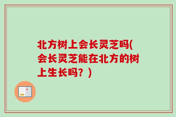 北方树上会长灵芝吗(会长灵芝能在北方的树上生长吗?)-第1张图片-卓越灵芝孢子粉 北方树上会长灵芝吗(会长灵芝能在北方的树上生长吗?)-第1张图片-卓越灵芝孢子粉