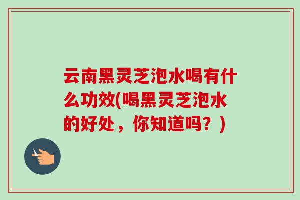 云南黑灵芝泡水喝有什么功效(喝黑灵芝泡水的好处,你知道吗?)-第1张图片-卓越灵芝孢子粉 云南黑灵芝泡水喝有什么功效(喝黑灵芝泡水的好处,你知道吗?)-第1张图片-卓越灵芝孢子粉