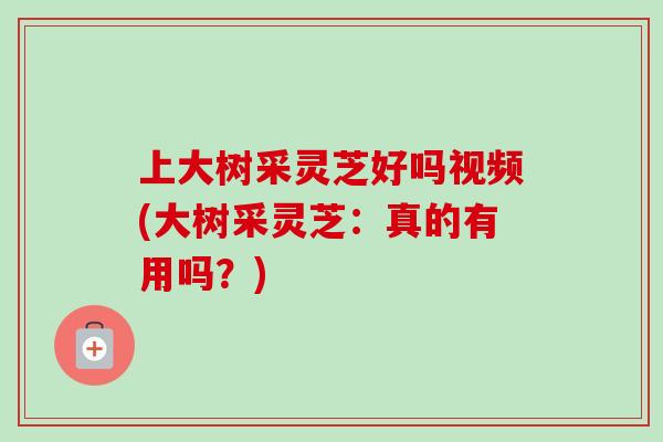 上大树采灵芝好吗视频(大树采灵芝:真的有用吗?)-第1张图片-卓越灵芝孢子粉 上大树采灵芝好吗视频(大树采灵芝:真的有用吗?)-第1张图片-卓越灵芝孢子粉