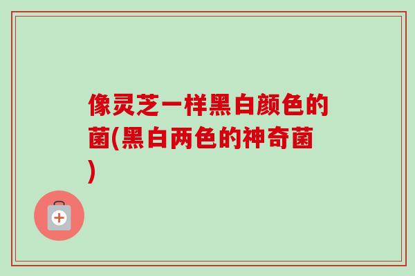 像灵芝一样黑白颜色的菌(黑白两色的神奇菌)-第1张图片-卓越灵芝孢子粉