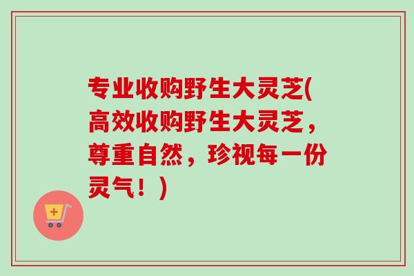 专业收购野生大灵芝(高效收购野生大灵芝，尊重自然，珍视每一份灵气！)-第1张图片-卓越灵芝孢子粉