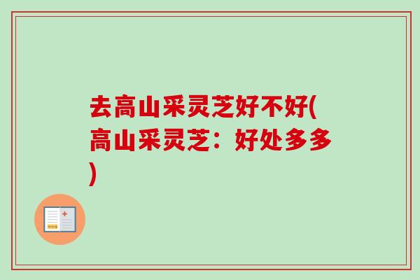 去高山采灵芝好不好(高山采灵芝：好处多多)-第1张图片-卓越灵芝孢子粉