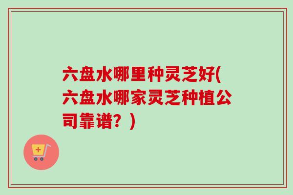 六盘水哪里种灵芝好(六盘水哪家灵芝种植公司靠谱?)-第1张图片-卓越灵芝孢子粉 六盘水哪里种灵芝好(六盘水哪家灵芝种植公司靠谱?)-第1张图片-卓越灵芝孢子粉