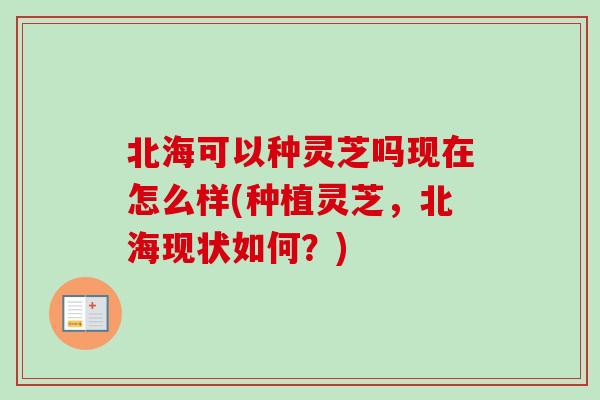 北海可以种灵芝吗现在怎么样(种植灵芝,北海现状如何?)-第1张图片-卓越灵芝孢子粉 北海可以种灵芝吗现在怎么样(种植灵芝,北海现状如何?)-第1张图片-卓越灵芝孢子粉