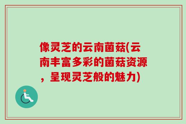像灵芝的云南菌菇(云南丰富多彩的菌菇资源，呈现灵芝般的魅力)-第1张图片-卓越灵芝孢子粉