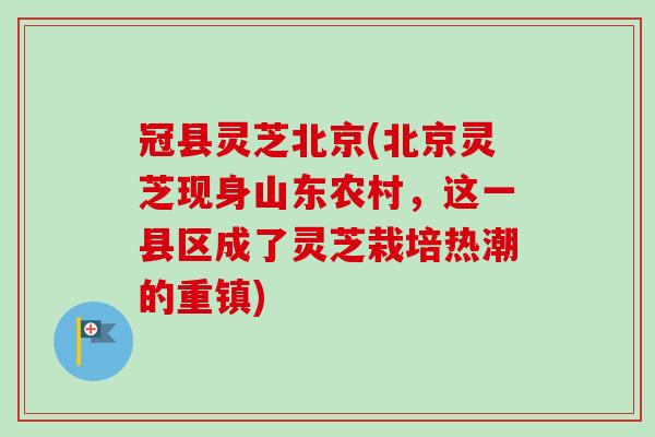 冠县灵芝北京(北京灵芝现身山东农村,这一县区成了灵芝栽培热潮的重镇)-第1张图片-卓越灵芝孢子粉 冠县灵芝北京(北京灵芝现身山东农村,这一县区成了灵芝栽培热潮的重镇)-第1张图片-卓越灵芝孢子粉