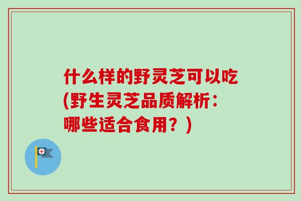 什么样的野灵芝可以吃(野生灵芝品质解析：哪些适合食用？)-第1张图片-卓越灵芝孢子粉