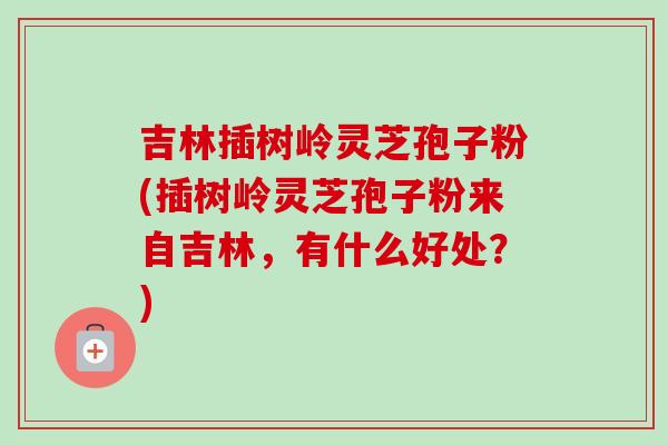 吉林插树岭灵芝孢子粉(插树岭灵芝孢子粉来自吉林，有什么好处？)-第1张图片-卓越灵芝孢子粉
