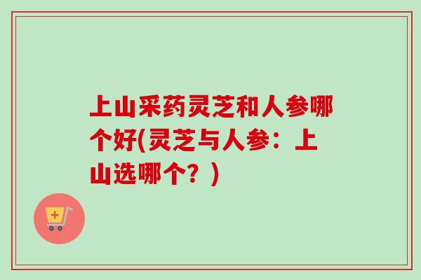 上山采药灵芝和人参哪个好(灵芝与人参:上山选哪个?)-第1张图片-卓越灵芝孢子粉 上山采药灵芝和人参哪个好(灵芝与人参:上山选哪个?)-第1张图片-卓越灵芝孢子粉