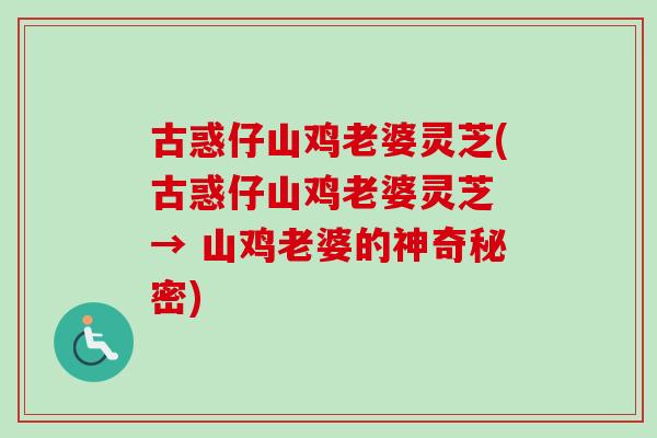 古惑仔山鸡老婆灵芝(古惑仔山鸡老婆灵芝 → 山鸡老婆的神奇秘密)-第1张图片-卓越灵芝孢子粉
