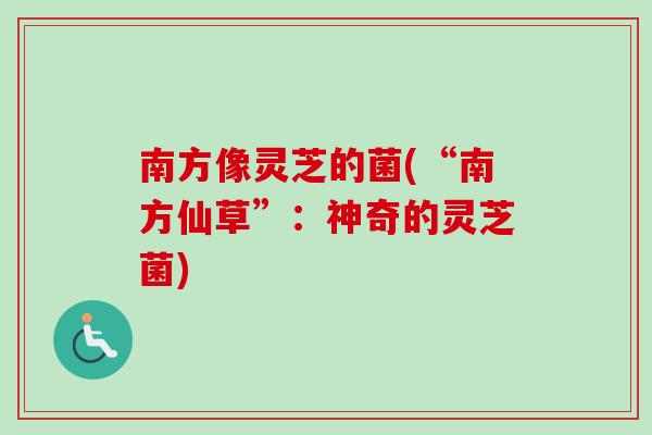 南方像灵芝的菌(“南方仙草”:神奇的灵芝菌)-第1张图片-卓越灵芝孢子粉 南方像灵芝的菌(“南方仙草”:神奇的灵芝菌)-第1张图片-卓越灵芝孢子粉