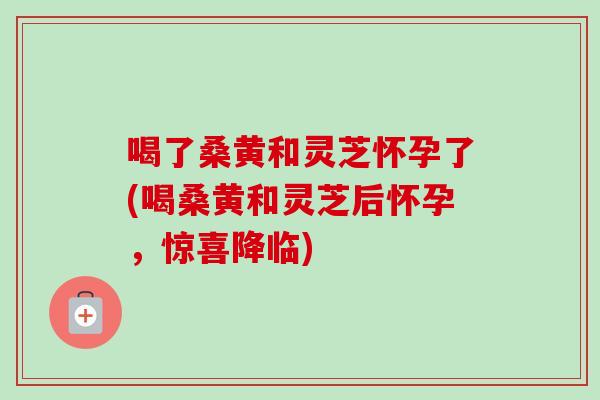 喝了桑黄和灵芝怀孕了(喝桑黄和灵芝后怀孕，惊喜降临)-第1张图片-卓越灵芝孢子粉