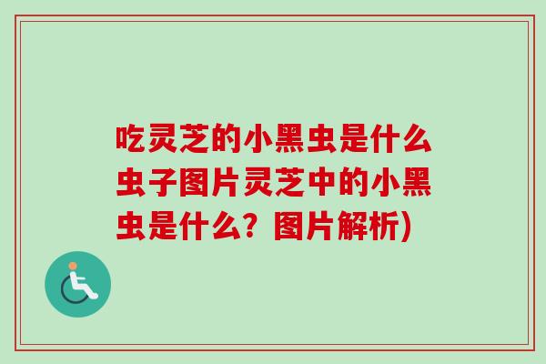吃灵芝的小黑虫是什么虫子图片灵芝中的小黑虫是什么？图片解析)-第1张图片-卓越灵芝孢子粉