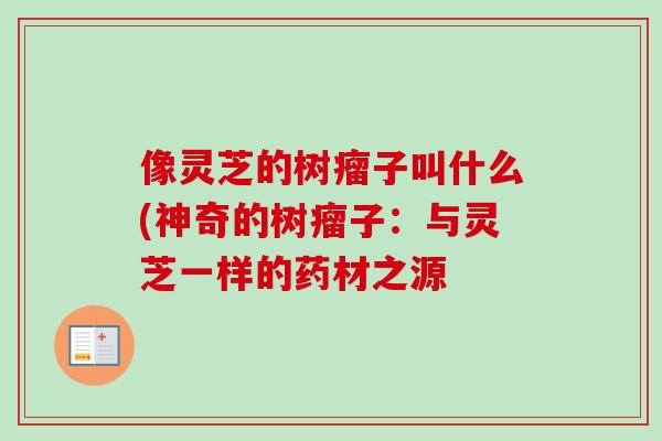 像灵芝的树瘤子叫什么(神奇的树瘤子:与灵芝一样的药材之源-第1张图片-卓越灵芝孢子粉 像灵芝的树瘤子叫什么(神奇的树瘤子:与灵芝一样的药材之源-第1张图片-卓越灵芝孢子粉