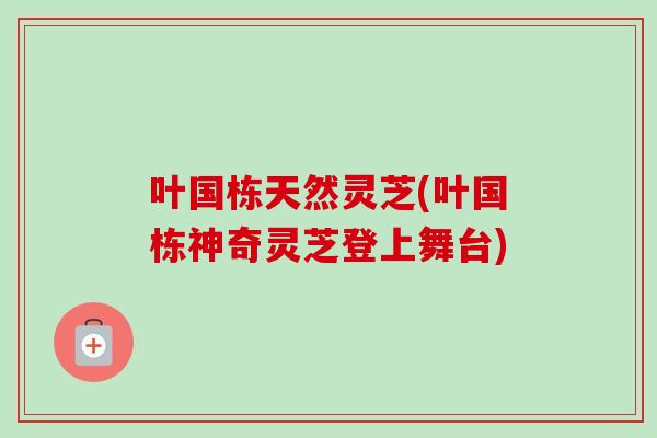 叶国栋天然灵芝(叶国栋神奇灵芝登上舞台)-第1张图片-卓越灵芝孢子粉