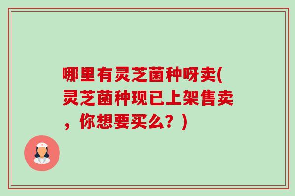 哪里有灵芝菌种呀卖(灵芝菌种现已上架售卖,你想要买么?)-第1张图片-卓越灵芝孢子粉 哪里有灵芝菌种呀卖(灵芝菌种现已上架售卖,你想要买么?)-第1张图片-卓越灵芝孢子粉