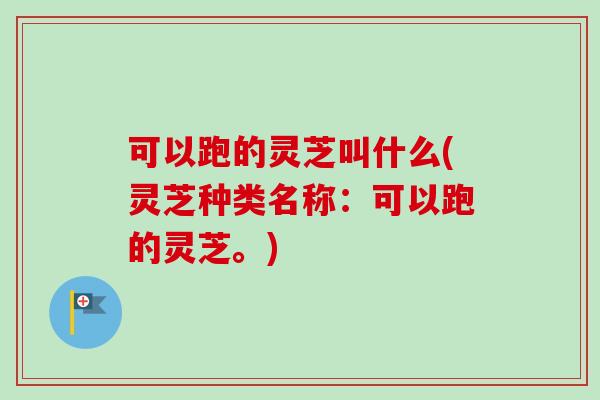 可以跑的灵芝叫什么(灵芝种类名称:可以跑的灵芝。)-第1张图片-卓越灵芝孢子粉 可以跑的灵芝叫什么(灵芝种类名称:可以跑的灵芝。)-第1张图片-卓越灵芝孢子粉