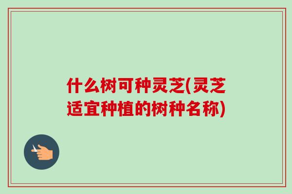 什么树可种灵芝(灵芝适宜种植的树种名称)-第1张图片-卓越灵芝孢子粉