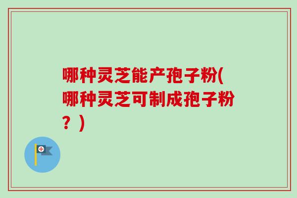 哪种灵芝能产孢子粉(哪种灵芝可制成孢子粉?)-第1张图片-卓越灵芝孢子粉 哪种灵芝能产孢子粉(哪种灵芝可制成孢子粉?)-第1张图片-卓越灵芝孢子粉
