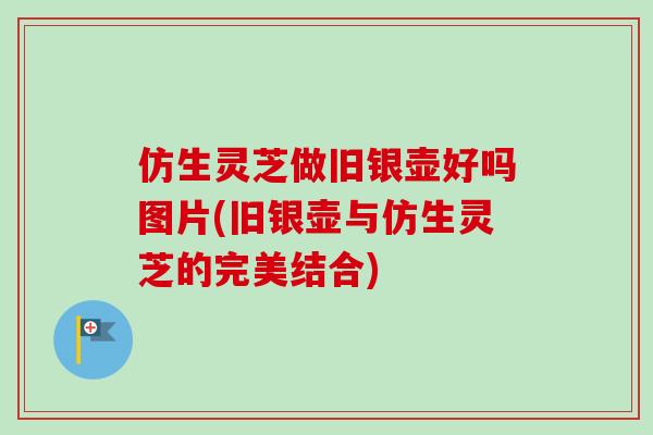 仿生灵芝做旧银壶好吗图片(旧银壶与仿生灵芝的完美结合)-第1张图片-卓越灵芝孢子粉 仿生灵芝做旧银壶好吗图片(旧银壶与仿生灵芝的完美结合)-第1张图片-卓越灵芝孢子粉