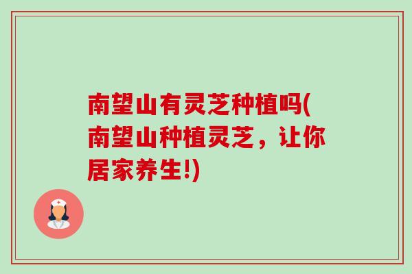 南望山有灵芝种植吗(南望山种植灵芝,让你居家养生!)-第1张图片-卓越灵芝孢子粉 南望山有灵芝种植吗(南望山种植灵芝,让你居家养生!)-第1张图片-卓越灵芝孢子粉