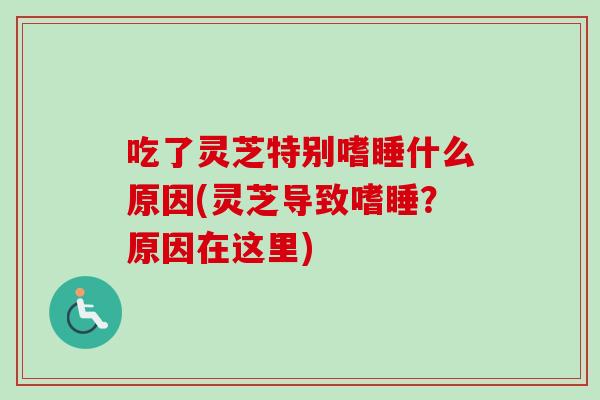吃了灵芝特别嗜睡什么原因(灵芝导致嗜睡?原因在这里)-第1张图片-卓越灵芝孢子粉 吃了灵芝特别嗜睡什么原因(灵芝导致嗜睡?原因在这里)-第1张图片-卓越灵芝孢子粉