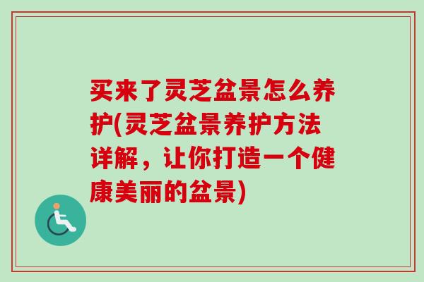 买来了灵芝盆景怎么养护(灵芝盆景养护方法详解,让你打造一个健康美丽的盆景)-第1张图片-卓越灵芝孢子粉 买来了灵芝盆景怎么养护(灵芝盆景养护方法详解,让你打造一个健康美丽的盆景)-第1张图片-卓越灵芝孢子粉