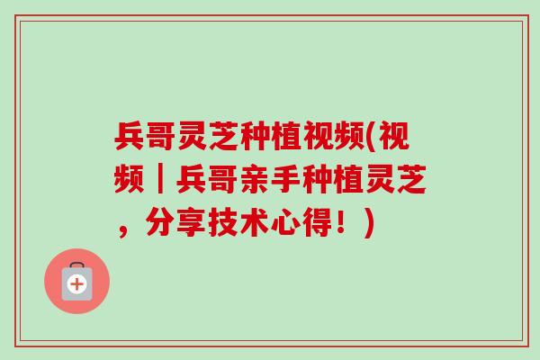 兵哥灵芝种植视频(视频|兵哥亲手种植灵芝,分享技术心得!)-第1张图片-卓越灵芝孢子粉 兵哥灵芝种植视频(视频|兵哥亲手种植灵芝,分享技术心得!)-第1张图片-卓越灵芝孢子粉
