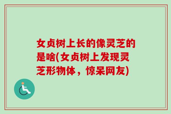 女贞树上长的像灵芝的是啥(女贞树上发现灵芝形物体,惊呆网友)-第1张图片-卓越灵芝孢子粉 女贞树上长的像灵芝的是啥(女贞树上发现灵芝形物体,惊呆网友)-第1张图片-卓越灵芝孢子粉