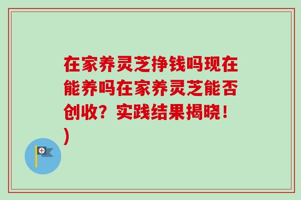 在家养灵芝挣钱吗现在能养吗在家养灵芝能否创收？实践结果揭晓！)-第1张图片-卓越灵芝孢子粉