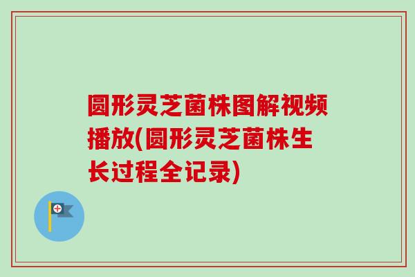 圆形灵芝菌株图解视频播放(圆形灵芝菌株生长过程全记录)-第1张图片-卓越灵芝孢子粉 圆形灵芝菌株图解视频播放(圆形灵芝菌株生长过程全记录)-第1张图片-卓越灵芝孢子粉