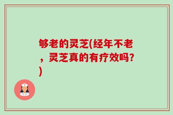 够老的灵芝(经年不老，灵芝真的有疗效吗？)-第1张图片-卓越灵芝孢子粉