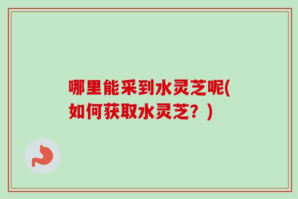 哪里能采到水灵芝呢(如何获取水灵芝？)-第1张图片-卓越灵芝孢子粉