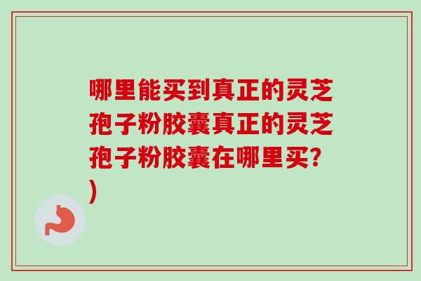 哪里能买到真正的灵芝孢子粉胶囊真正的灵芝孢子粉胶囊在哪里买?)-第1张图片-卓越灵芝孢子粉 哪里能买到真正的灵芝孢子粉胶囊真正的灵芝孢子粉胶囊在哪里买?)-第1张图片-卓越灵芝孢子粉