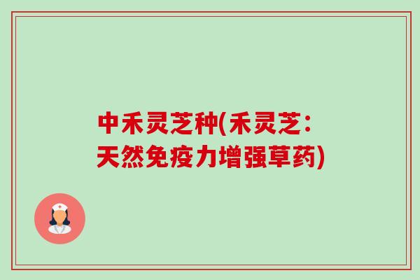 中禾灵芝种(禾灵芝:天然免疫力增强草药)-第1张图片-卓越灵芝孢子粉 中禾灵芝种(禾灵芝:天然免疫力增强草药)-第1张图片-卓越灵芝孢子粉