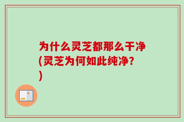 为什么灵芝都那么干净(灵芝为何如此纯净?)-第1张图片-卓越灵芝孢子粉 为什么灵芝都那么干净(灵芝为何如此纯净?)-第1张图片-卓越灵芝孢子粉