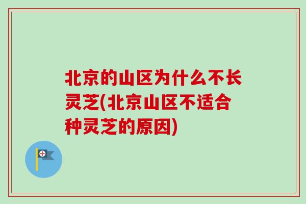 北京的山区为什么不长灵芝(北京山区不适合种灵芝的原因)-第1张图片-卓越灵芝孢子粉 北京的山区为什么不长灵芝(北京山区不适合种灵芝的原因)-第1张图片-卓越灵芝孢子粉