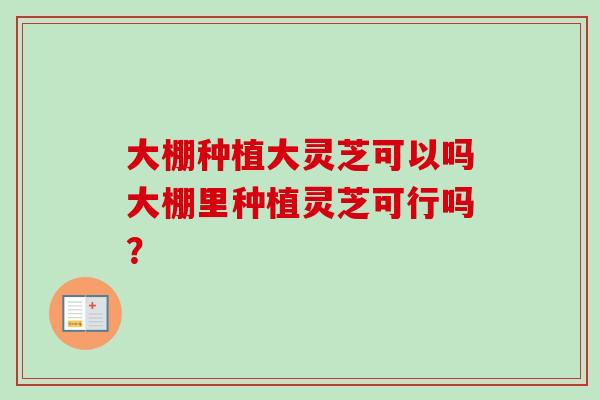 大棚种植大灵芝可以吗大棚里种植灵芝可行吗?-第1张图片-卓越灵芝孢子粉 大棚种植大灵芝可以吗大棚里种植灵芝可行吗?-第1张图片-卓越灵芝孢子粉