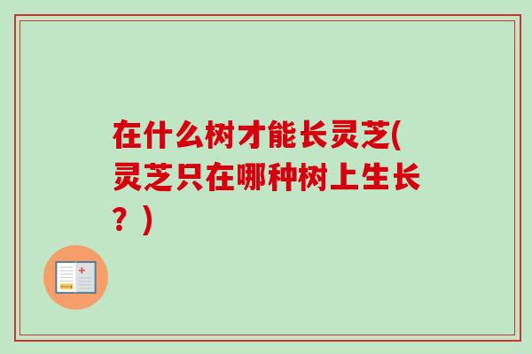 在什么树才能长灵芝(灵芝只在哪种树上生长?)-第1张图片-卓越灵芝孢子粉 在什么树才能长灵芝(灵芝只在哪种树上生长?)-第1张图片-卓越灵芝孢子粉