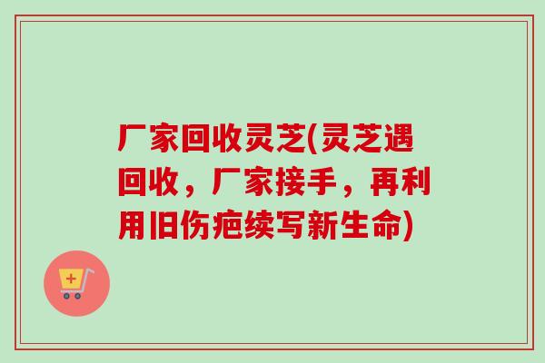 厂家回收灵芝(灵芝遇回收，厂家接手，再利用旧伤疤续写新生命)-第1张图片-卓越灵芝孢子粉