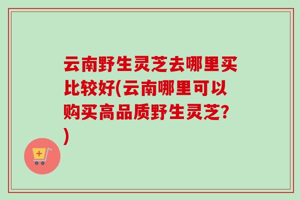 云南野生灵芝去哪里买比较好(云南哪里可以购买高品质野生灵芝?)-第1张图片-卓越灵芝孢子粉 云南野生灵芝去哪里买比较好(云南哪里可以购买高品质野生灵芝?)-第1张图片-卓越灵芝孢子粉