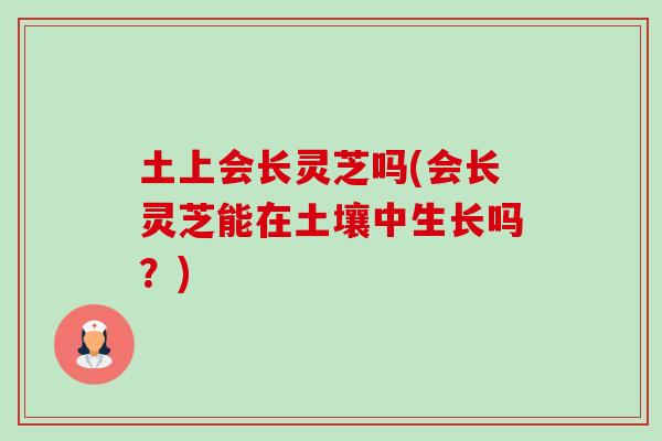 土上会长灵芝吗(会长灵芝能在土壤中生长吗?)-第1张图片-卓越灵芝孢子粉 土上会长灵芝吗(会长灵芝能在土壤中生长吗?)-第1张图片-卓越灵芝孢子粉
