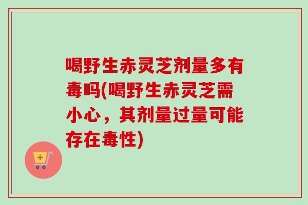 喝野生赤灵芝剂量多有毒吗(喝野生赤灵芝需小心,其剂量过量可能存在毒性)-第1张图片-卓越灵芝孢子粉 喝野生赤灵芝剂量多有毒吗(喝野生赤灵芝需小心,其剂量过量可能存在毒性)-第1张图片-卓越灵芝孢子粉