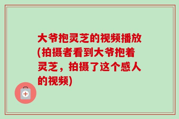 大爷抱灵芝的视频播放(拍摄者看到大爷抱着灵芝,拍摄了这个感人的视频)-第1张图片-卓越灵芝孢子粉 大爷抱灵芝的视频播放(拍摄者看到大爷抱着灵芝,拍摄了这个感人的视频)-第1张图片-卓越灵芝孢子粉