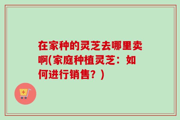 在家种的灵芝去哪里卖啊(家庭种植灵芝：如何进行销售？)-第1张图片-卓越灵芝孢子粉