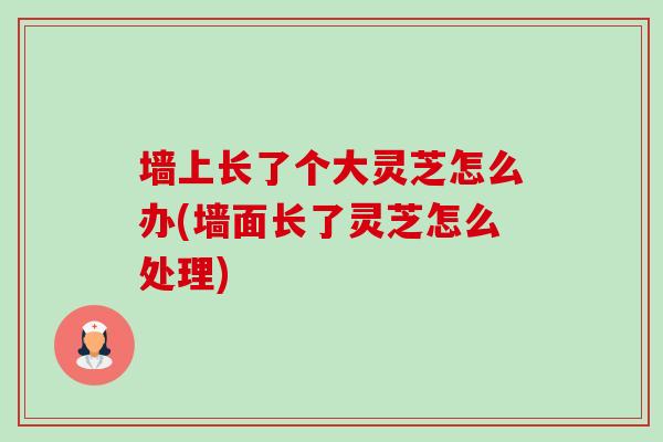 墙上长了个大灵芝怎么办(墙面长了灵芝怎么处理)-第1张图片-卓越灵芝孢子粉 墙上长了个大灵芝怎么办(墙面长了灵芝怎么处理)-第1张图片-卓越灵芝孢子粉